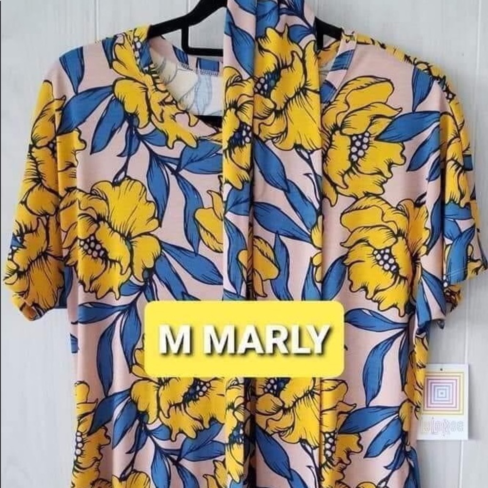 NWT Lularoe Dress!
